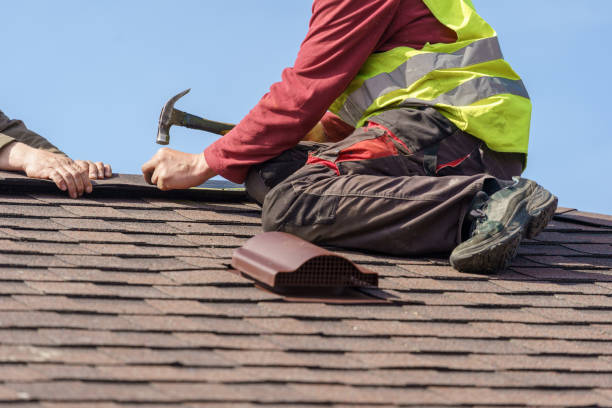 Best Roof Leak Repair  in Badger, AK