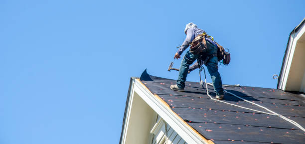 Best Metal Roofing Contractor  in Badger, AK